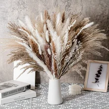 80PCS Natural Dried Pampas Grass Bouquet Boho Home Decor Bouquet Phragmites Dried Flowers Bouquet for Wedding Decor