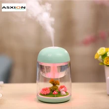 Mini Portable Mist Humidifier Transparent Micro-landscape Air Humidifier Spray Air Purifier Diffuser with LED Lights for Home